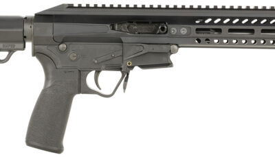 Patriot Ordnance Factory 1678 PSG  22 LR 10+1 7.75" Match Grade Threaded Barrel, Black Anodized Receiver w/Picatinny Rail, M-LOK Handguard, Black MFT Grip