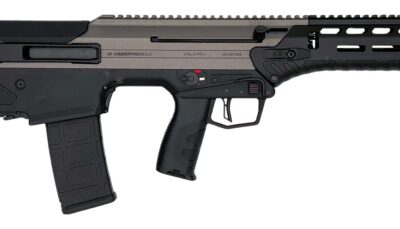 Desert Tech WLVRFB1630T WLVRN 5.56 NATO 30+1 16" Black Melonite Threaded Barrel, Tungsten Cerakote Receiver w/Picatinny Rail, M-LOK Handguard, Black Polymer Chassis, Black Polymer Grip, Ambidextrous