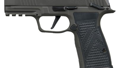 Sig Sauer 365AXGCA9LEGIONMSCA P365 AXG Legion 9mm Luger 10+1 3.10" Legion Gray Cerakote Integrated Compensator/Optic Ready/Serrated Slide, Legion Gray Cerakote Stainless Steel Frame w/Picatinny Rail,