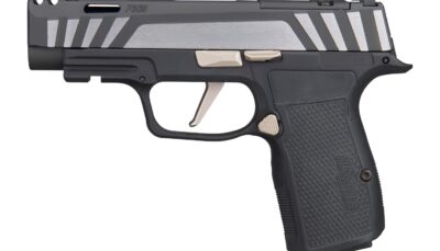 Sig Sauer 365AXG9COMPEQ P365 AXG Equinox Compact 9mm Luger 12+1 3.10" Equinox/Nitron Stainless Steel Optic Ready Slide, Equinox Black Stainless Steel Frame w/Picatinny Rail, Black G10 Grip