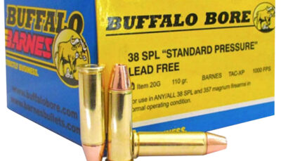 Buffalo Bore Ammunition 20G20 Standard Pressure Strictly Business 38Special 110gr Barnes TAC-XP Lead Free 20 Per Box/12 Case