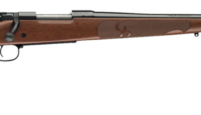 Winchester Repeating Arms 535200233 Model 70 Featherweight 300 Win Mag 3+1 24" Satin Walnut Fixed w/Feather Checkering Stock Brushed Polish Blued Right Hand