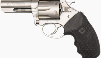CA PIT BULL 380ACP 3 FS SS 6RD SHOOTER