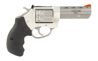 CHARTER ARMS PTHFNDR II 22WMR 8RD SS - Image 2