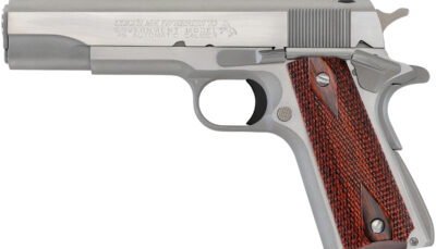 CLT GOVERNMENT 45ACP 5 BRUSHED SS SERIES 70