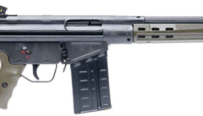 PTR 91 GI 308WIN 18 GRN STK CA LEGAL 10RD