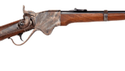 TF CHIAPPA 1865 SPENCER CARBINE 45LC 20