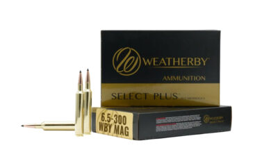 WBY AMMO 6.5-300WBY 129G HAMMER CUSTOM 20/10