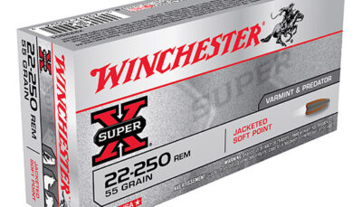 WIN SUPER-X 22-250 55GR PSP 20/10