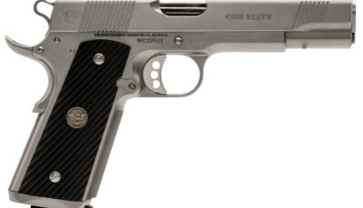 Wilson Combat CQBEFS45SS CQB Elite 45 ACP 8+1 5" Stainless Match Grade Barrel, Serrated Stainless Steel Slide, Stainless Steel Frame w/Beavertail, Black G10 Starburst Grip