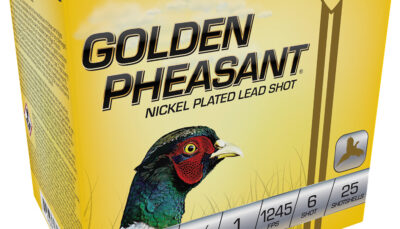 Fiocchi 20GP6 Golden Pheasant Extrema 20Gauge 2.75" 1oz 6Shot 25 Per Box/10 Case