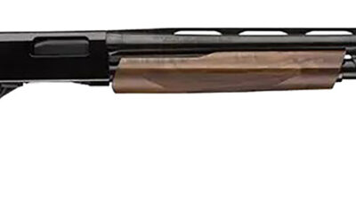 Winchester Repeating Arms 512451692 SXP High Grade Field 20 Gauge 3" Chamber 5+1 (2.75") 28", Gloss Blued Barrel/Rec, High Grade Turkish Walnut Furniture, TruGlo Fiber Optic Sight