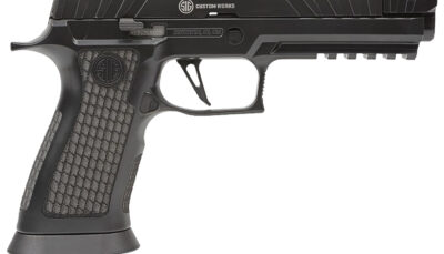 SIG P320V00410 P320 9M SPCT 4.6 10R BLK
