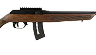 Rossi RS22W2111WD RS22  Full Size 22 WMR 10+1 21" Matte Black Steel Barrel, Matte Black Picatinny Rail Steel Receiver, Fixed Hardwood Stock
