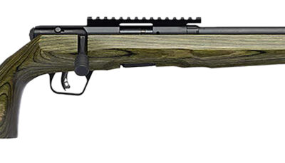 Savage Arms 70851 B Series Full Size 17 HMR 10+1 18" Matte Black Spiral Fluted Threaded Barrel, Matte Black Carbon Steel Receiver w/Picatinny Rail, OD Green Fixed Laminate Stock, Right Hand