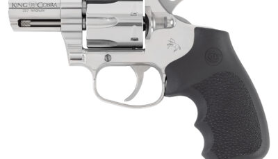 Colt Mfg KCOBRASB2RBBS King Cobra  357 Mag 6rd Shot 2" Stainless Steel Barrel, Cylinder & Frame, Black Hogue Overmolded Grip, Exposed Hammer, DA/SA