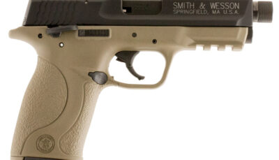 Smith & Wesson 10242 M&P  Compact Frame 22 LR 10+1 3.60" Black Steel Threaded Barrel & Serrated Slide, Flat Dark Earth Cerakote Polymer Frame w/Picatinny Rail, Ambidextrous