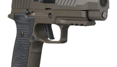 Sig Sauer 320AXGF9LEGIONRXSL10 P320 AXG Legion w/Optic 9mm Luger 10+1 3.90" Legion Gray Cerakote Stainless Steel Ported Slide w/Sig ROMEO-X SIG-LOC Pro, Legion Gray Cerakote Stainless Steel Frame w/Pi