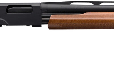 Winchester Repeating Arms 512271391 SXP Field Compact 12 Gauge 26" 4+1 3" Matte Black Rec/Barrel Satin Walnut Stock Right Hand Includes 3 Invector-Plus Chokes