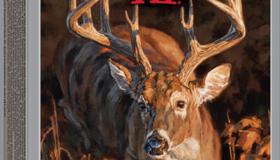 Winchester Ammo X243DS Deer Season XP 243Win 95gr Extreme Point 20 Per Box/10 Case
