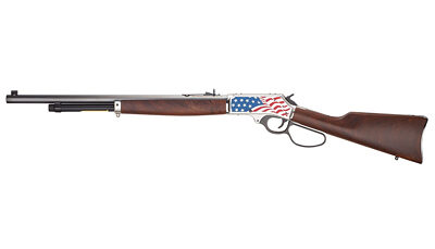HENRY H10 AMERICA 250 45-70 22" 4RD