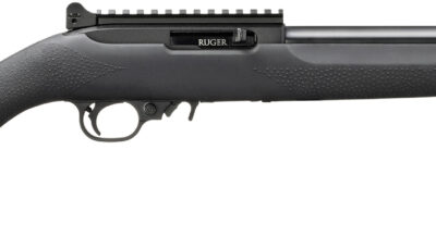 RUG 10/22 22LR 16.12 BLK HOGUE 10RD