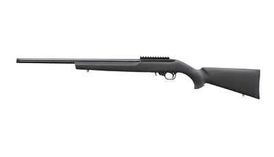 RUGER 10/22 20" TB HOGUE 10RD BLK