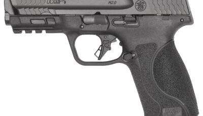 SW M&P9 M2.0 9MM 4.22 OR NTS BLK 15RD